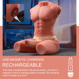 lifelike male torso