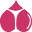 Nastnova: Shop Life Size Torso Sex Dolls & Adult Toys logo