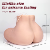 life size torso sex doll